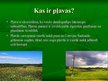 Презентация 'Pļavu biotopi', 2.