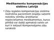 Презентация 'Veselības aprūpes politika Latvijā un Eiropā', 28.