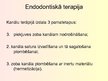 Презентация 'Stomatoloģija. Endodontijas ierīces', 6.