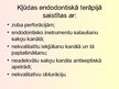 Презентация 'Stomatoloģija. Endodontijas ierīces', 12.