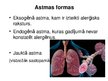 Презентация 'Bronhiālā astma', 4.