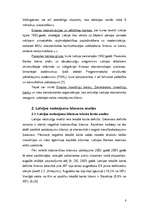 Реферат 'Valsts maksājuma bilances kapitāla un finanšu konta analīze', 8.
