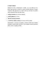Конспект 'Benzodiazepīni medicīnā: trauksmes un miega traucējumu terapija starp efektivitā', 13.