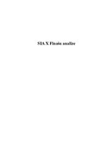 Отчёт по практике 'Firmas SIA "X" finanšu analīze', 1.