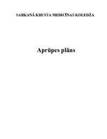 Отчёт по практике 'Aprūpes plāns', 1.