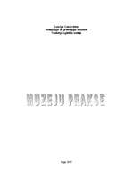 Отчёт по практике 'Muzeju analīze', 1.
