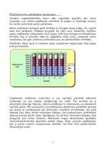 Реферат 'Uzņēmuma finansiālais stāvoklis', 7.