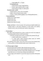 Конспект 'Kriminālprocesa vispārējie jautājumi: mērķis, principi un institucionālais ietva', 55.