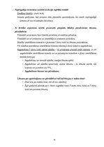 Конспект 'Kriminālprocesa vispārējie jautājumi: mērķis, principi un institucionālais ietva', 95.