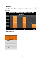 Реферат 'Исследование рынка рекламных услуг Латвии 2008-2009', 20.
