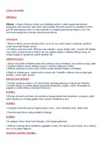 Конспект 'Difterija', 1.