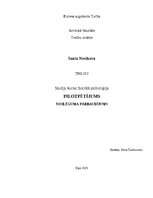 Реферат 'Sociālā psiholoģija - pilotpētījums', 1.