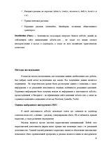 Реферат 'План интегрированной маркетинговой коммуникации "AirBaltic"', 6.