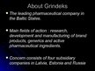 Презентация 'Business Activities of JSC "Grindeks"', 3.