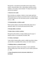 Эссе 'Prakses dienasgrāmata māszinībās: profesionālās pieredzes analīze un personīgās ', 2.