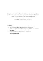 Эссе 'Interest Groups: Lobbyist in the European Union', 5.