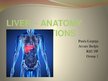 Презентация 'Liver - Anatomy and Functions', 1.
