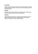 Конспект 'Projekta komandas un organizācijas struktūra', 2.