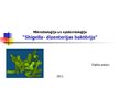 Презентация 'Shigella - dizentērijas baktērija', 1.