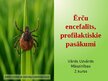 Презентация 'Ērču encefalīts, profilaktiskie pasākumi', 14.