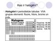 Презентация 'Halogēni', 2.
