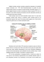 Реферат 'Marihuāna un tās iedarbības uz centrālo nervu sistēmu', 6.