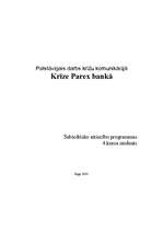 Эссе 'A/s "Parex banka" krīze pamanīta arī ārpus Rīgas', 4.
