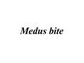 Презентация 'Medus bite', 1.