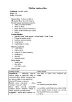 Образец документа 'Mācību stundu plāns 3.klase Latviešu valodā', 1.