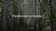 Презентация 'Ekoloģiskā saistviela no bērza tāss', 12.