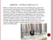 Презентация 'Desmit aizsargājamie augi un dzīvnieki Latvijā', 12.
