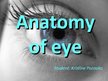 Презентация 'Anatomy of Eye', 1.