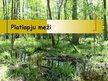 Презентация 'Platlapju meži', 1.