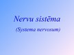 Презентация 'Nervu sistēma', 1.
