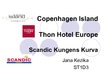 Презентация 'Scandinavian Hotels Comparison', 1.