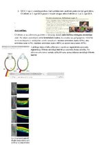 Конспект 'Albīnisms', 2.