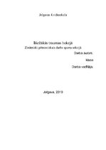 Реферат 'Biežākās traumas hokejā', 1.