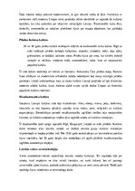 Реферат 'Kultūra latvijā 20. gadsimta 20.–40. gados', 12.