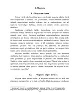 Реферат 'Vingrojumi muguras muskulatūrai', 13.