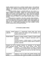 Отчёт по практике 'Personāla atlases un novērtēšanas projekts', 7.