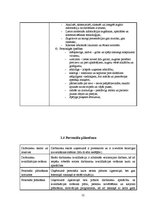 Отчёт по практике 'Personāla atlases un novērtēšanas projekts', 12.