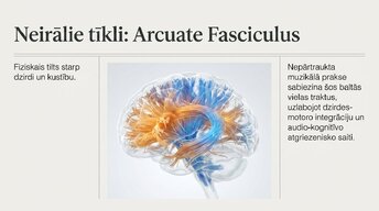 Презентация 'Kā muzikālā apmācība ietekmē kognitīvo attīstību', 6.