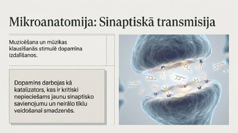 Презентация 'Kā muzikālā apmācība ietekmē kognitīvo attīstību', 7.
