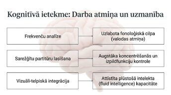 Презентация 'Kā muzikālā apmācība ietekmē kognitīvo attīstību', 10.