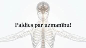Презентация 'Kā muzikālā apmācība ietekmē kognitīvo attīstību', 16.