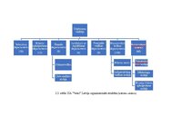 Дипломная 'Y un Z paaudžu pirkuma nodoma ietekmējošie faktori izvēloties viedgredzenu', 32.