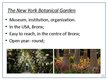 Презентация 'National Botanical Garden of Latvia. Comparison to the New York Botanical Garden', 10.