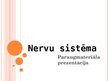 Презентация 'Prezentācija par nervu sistēmu', 1.