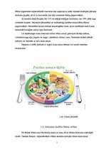 Реферат 'Veselīga uztura nozīme skolas vecuma bērnu attīstībā', 7.