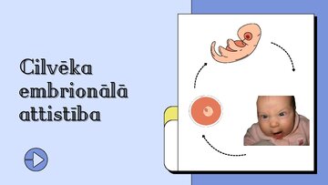 Презентация 'Cilvēka embrionālā attistība', 1.